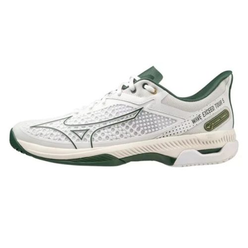 Mizuno Wave Exceed Tour 5 AC férfi